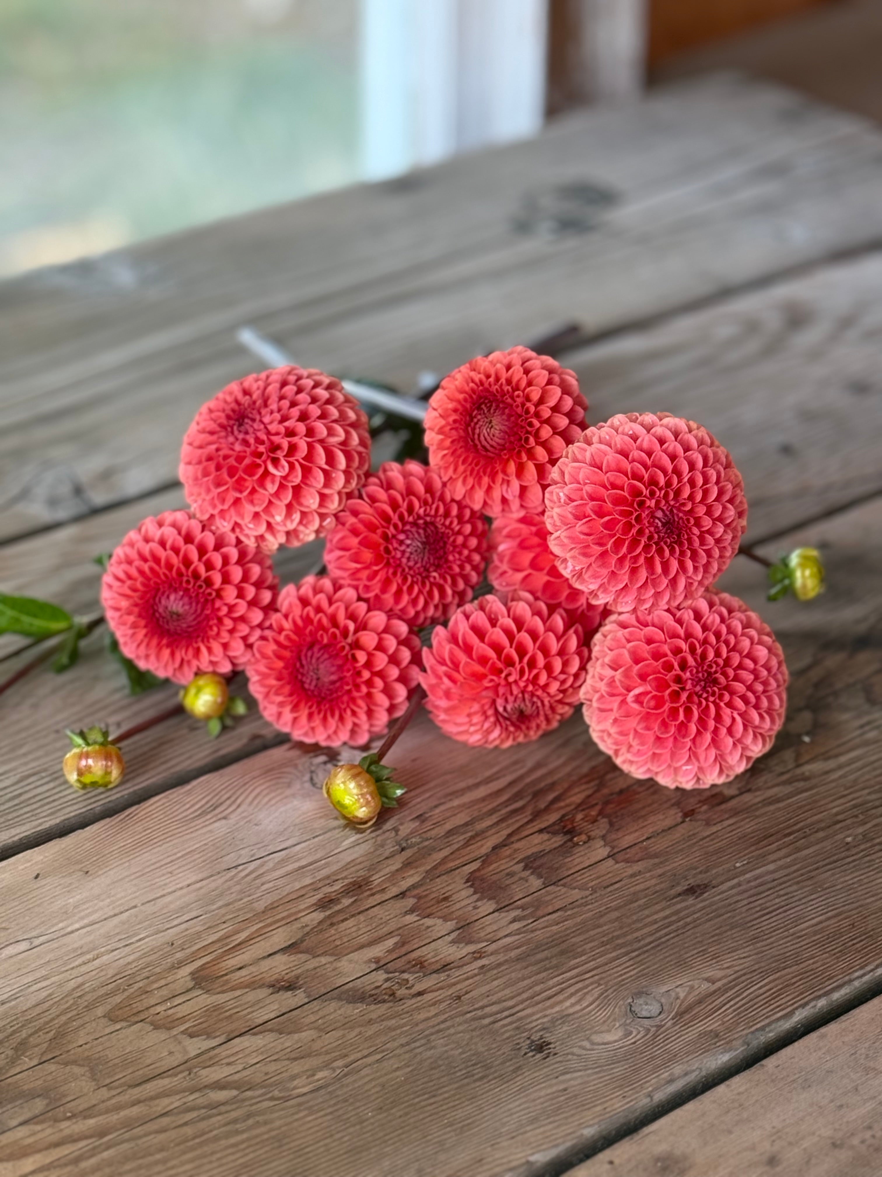Parkland Tribute – Muddy Hill Flower Farm