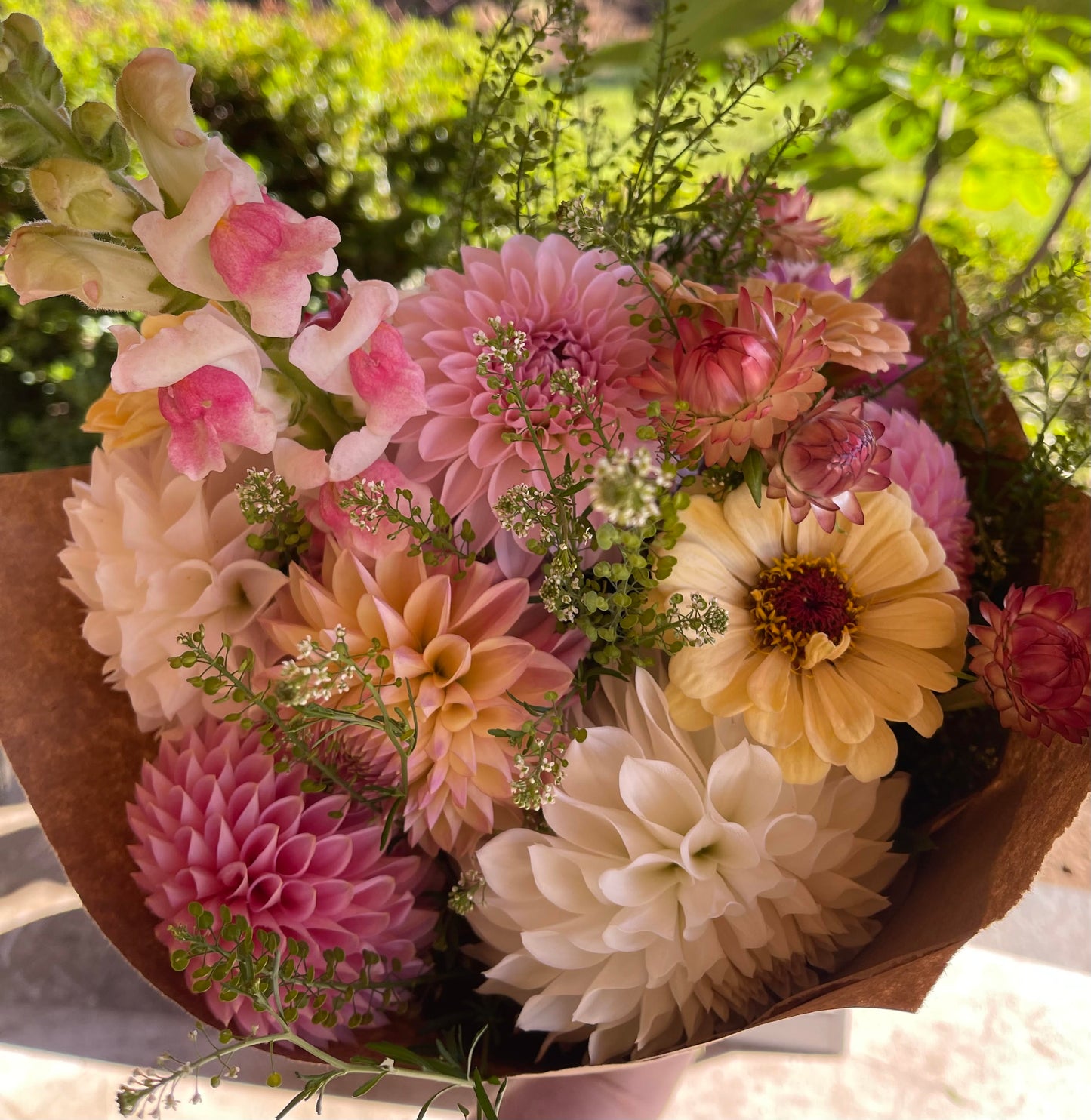 2025 Dahlia Subscription