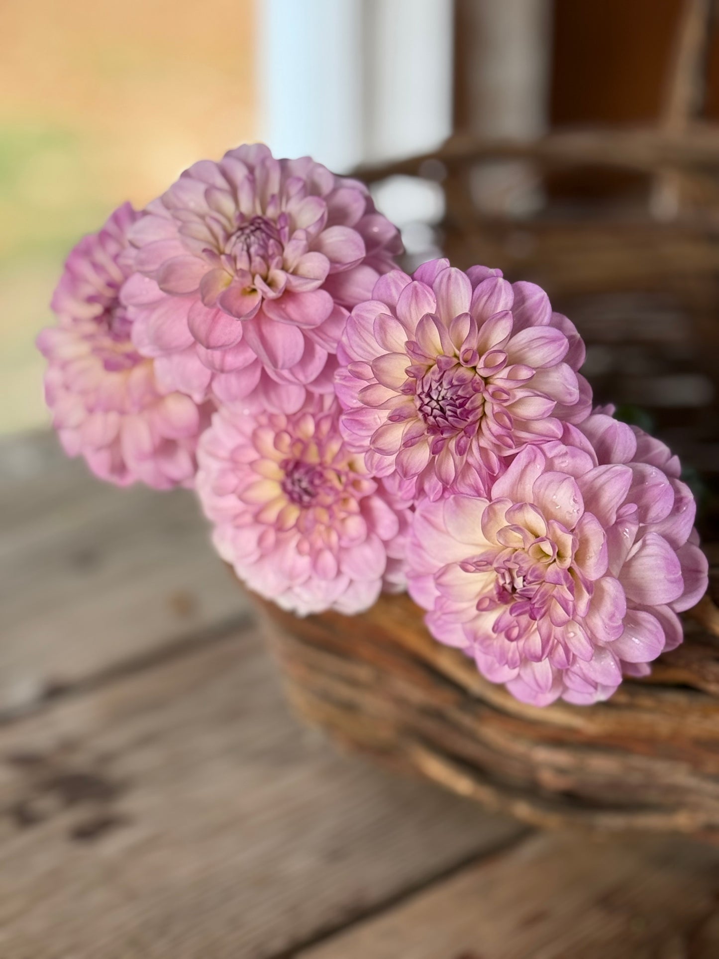 Marionberry Milkshake