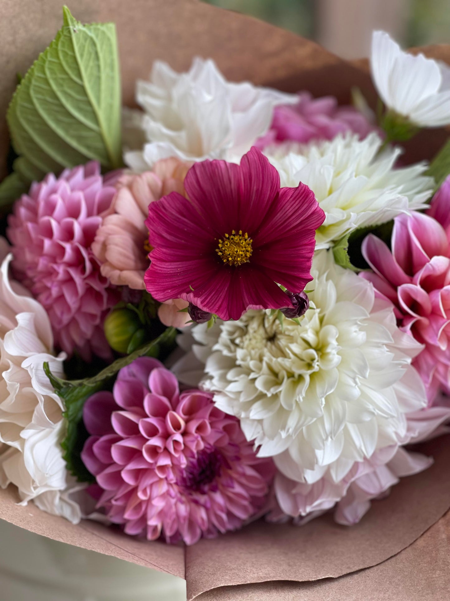 2025 Dahlia Subscription