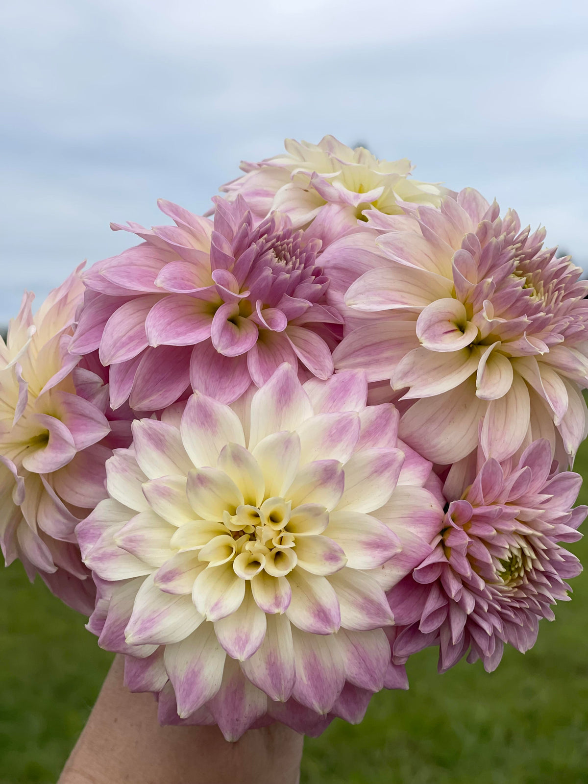 Quiet Splendor – Muddy Hill Flower Farm