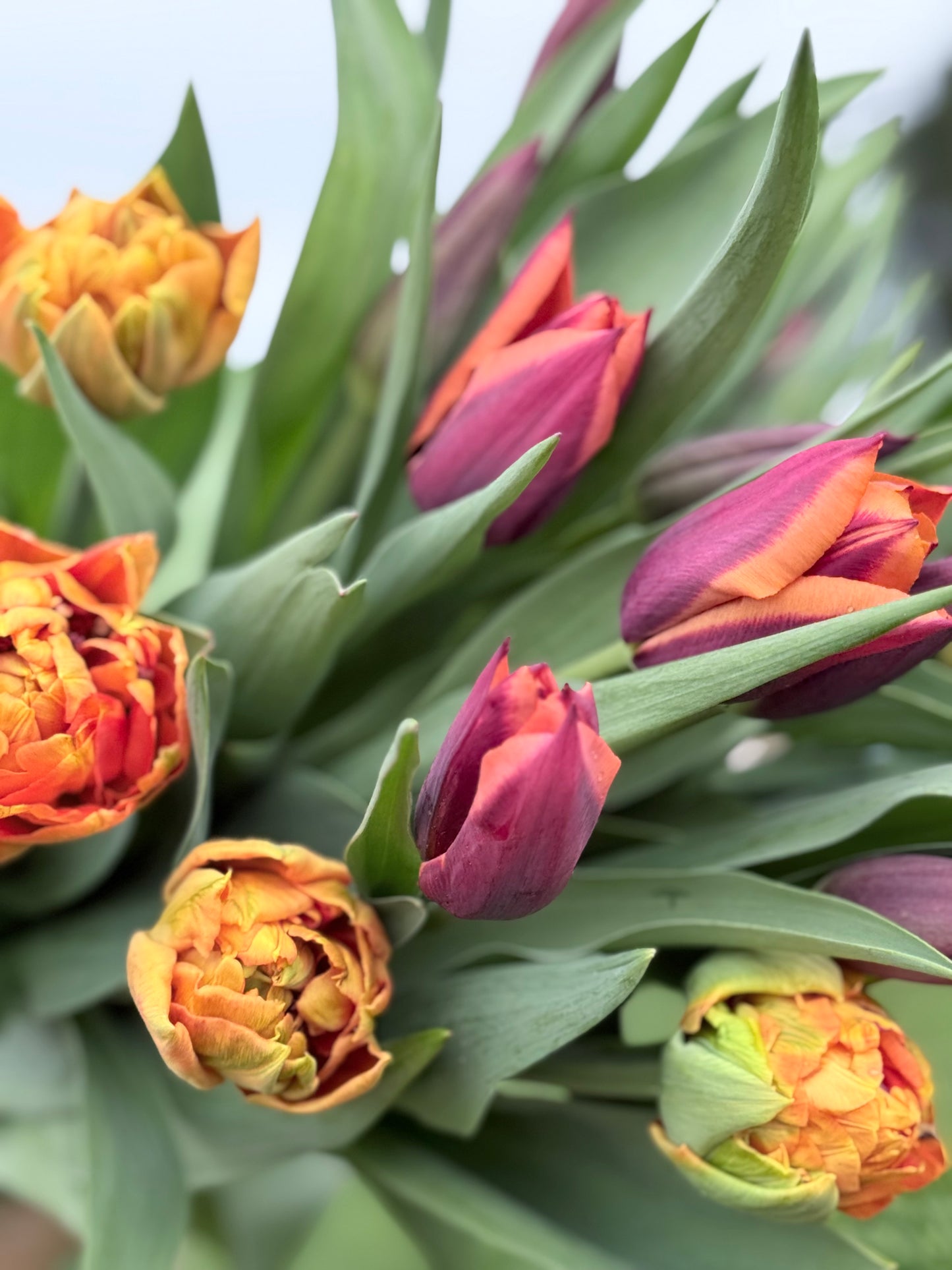 Mother's Day Bouquet -Farm Pickup