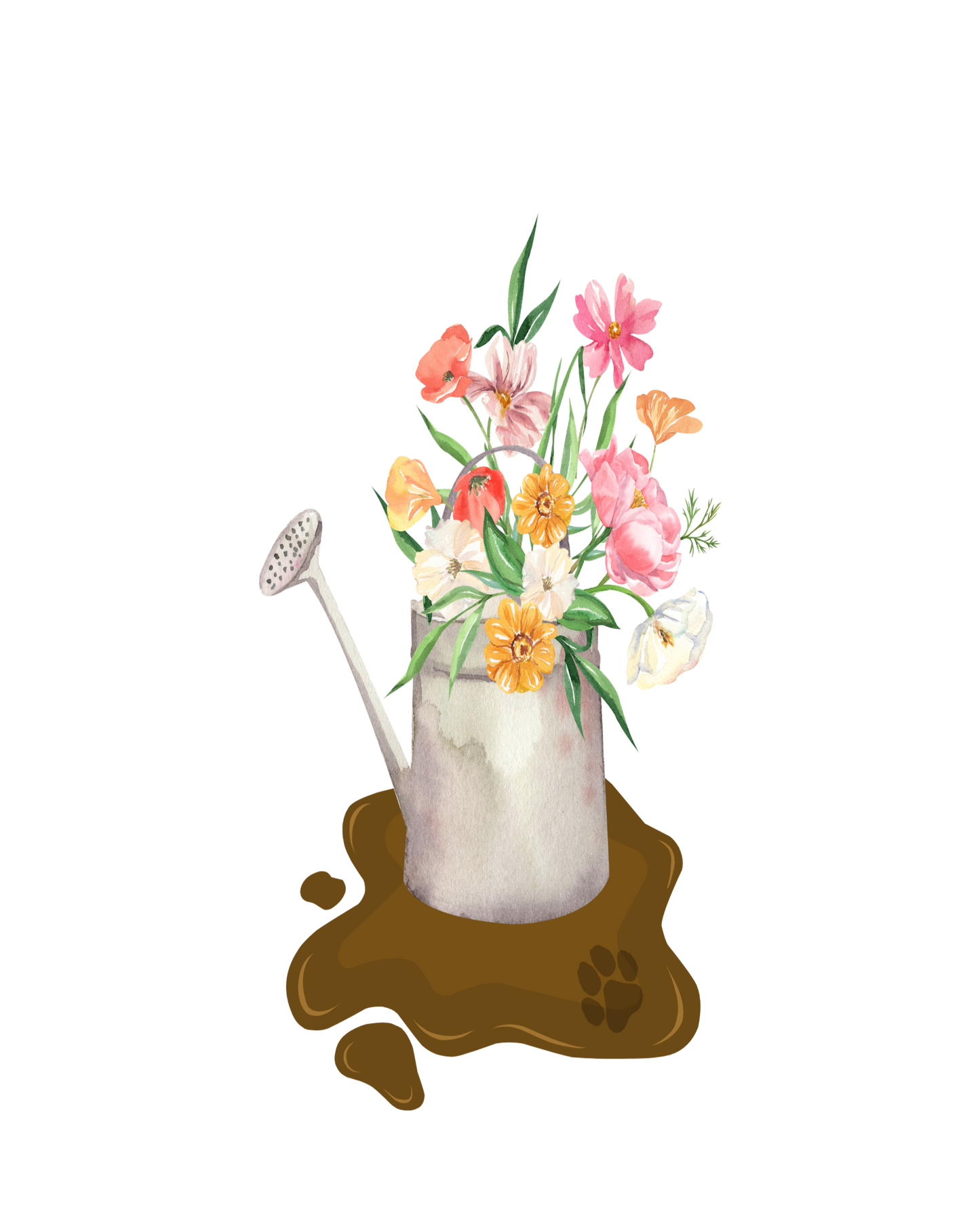 2026 $3 Combined Shipping Fee