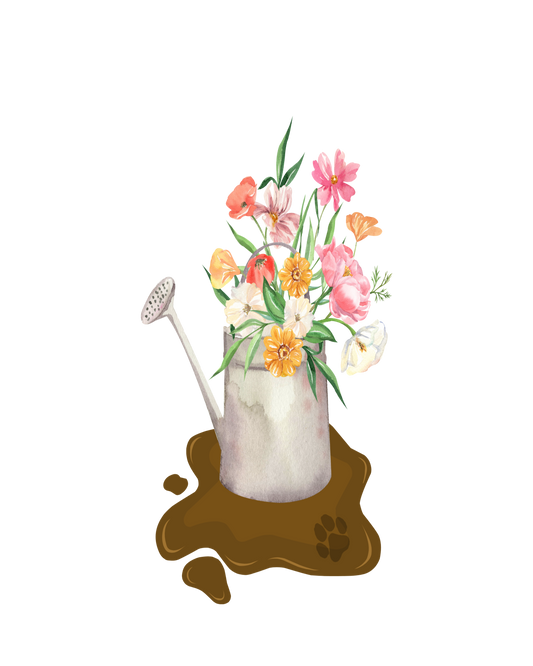 2026 $3 Combined Shipping Fee